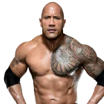 The Rock Player Stats