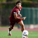 Nicola Rauti Player Stats