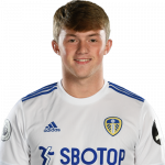 Joe Gelhardt Player Stats