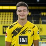 Giovanni Reyna Player Stats