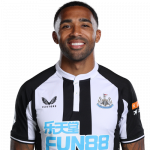 Callum Wilson Player Stats
