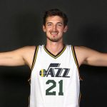 Tibor Pleiss Player Stats