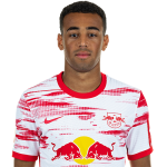 Tyler Adams Player Stats