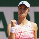 Anhelina Kalinina Player Stats