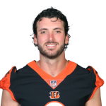 Brandon Allen Player Stats