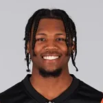Tee Higgins Player Stats