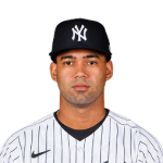 Deivi Garcia Player Stats