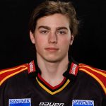 Calle Jarnkrok Player Stats