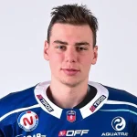 Simon Nemec Player Stats